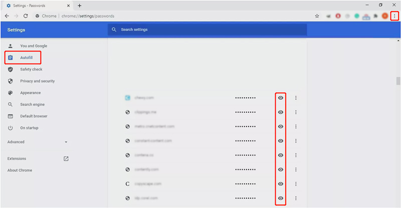 View Autofill Passwords Chrome Computer