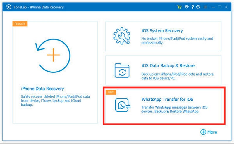 Click Whatsapp Transfer