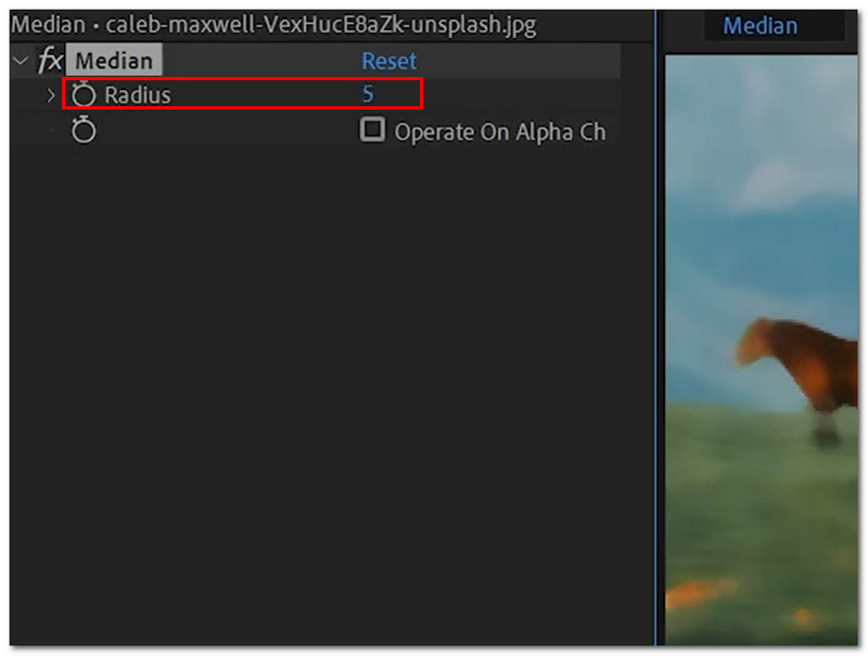 Adjust Radius Parameter