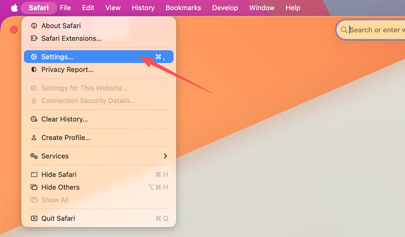 Open Safari On Mac Go To Settings