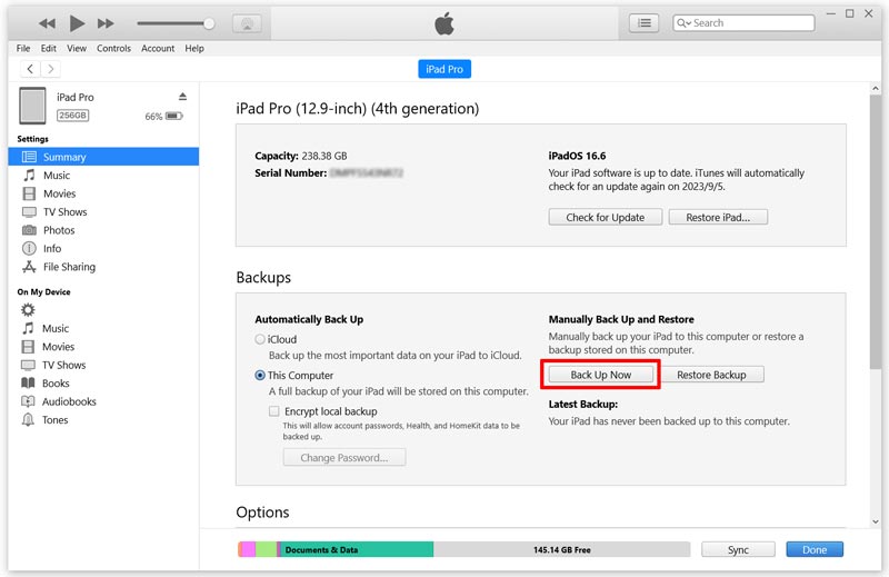 Faça backup dos dados do iPad Pro antes de armazenar