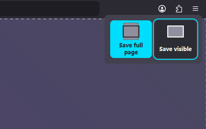 Página de captura do Firefox