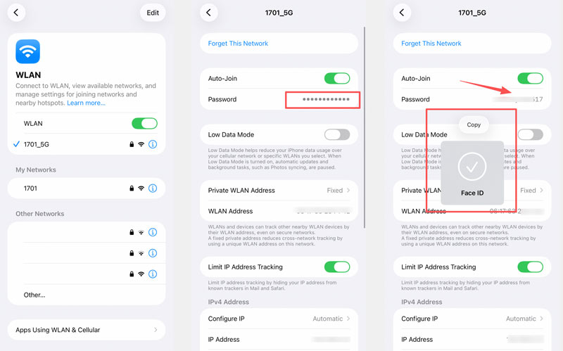 Visualizar Copiar Senha do Wi-Fi do iPhone