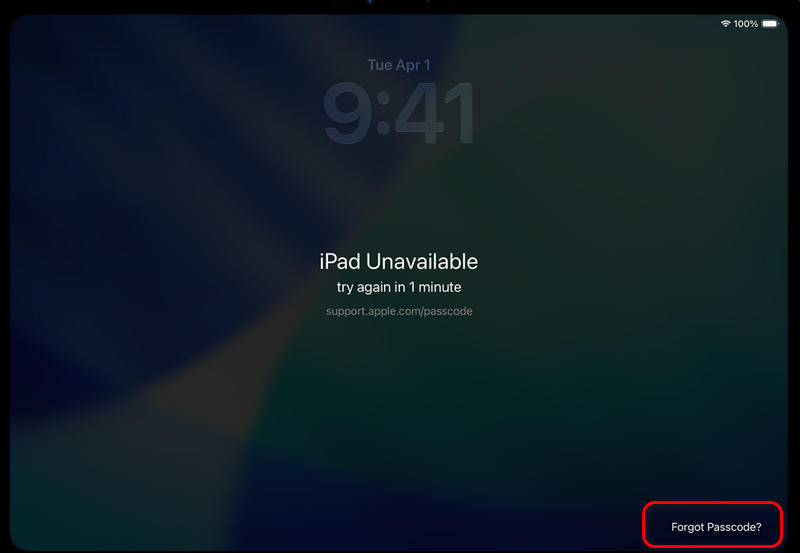 Enter Ipad Unavailable Sceen