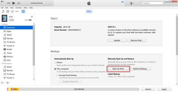 IPad de backup