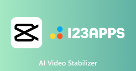 Estabilizador de vídeo AI