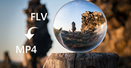 Converter FLV para MP4