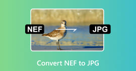 Converter NEF para JPG