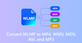 Como converter WLMP