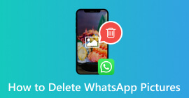 Excluir fotos do WhatsApp