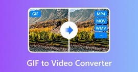 GIF para conversor de vídeo