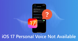 Voz pessoal iOS 18/17 não disponível