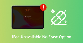 iPad indisponível, sem opção de apagar