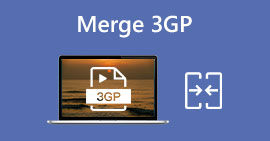 Unir 3GP