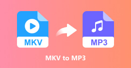 MKV para MP3