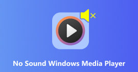 Sem som Windows Media Player