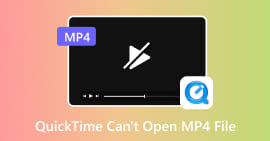 O QuickTime não consegue abrir o arquivo MP4.