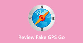 Interface GPS Go falsa
