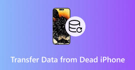 Transferir dados do iPod morto