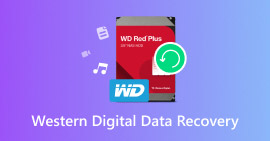 Recuperação de Dados Western Digital