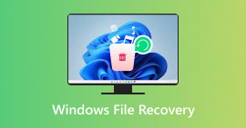 Recuperação de Arquivos do Windows