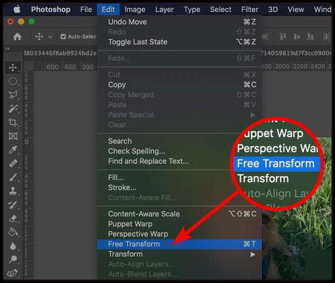 Redimensionador de imagens do Photoshop