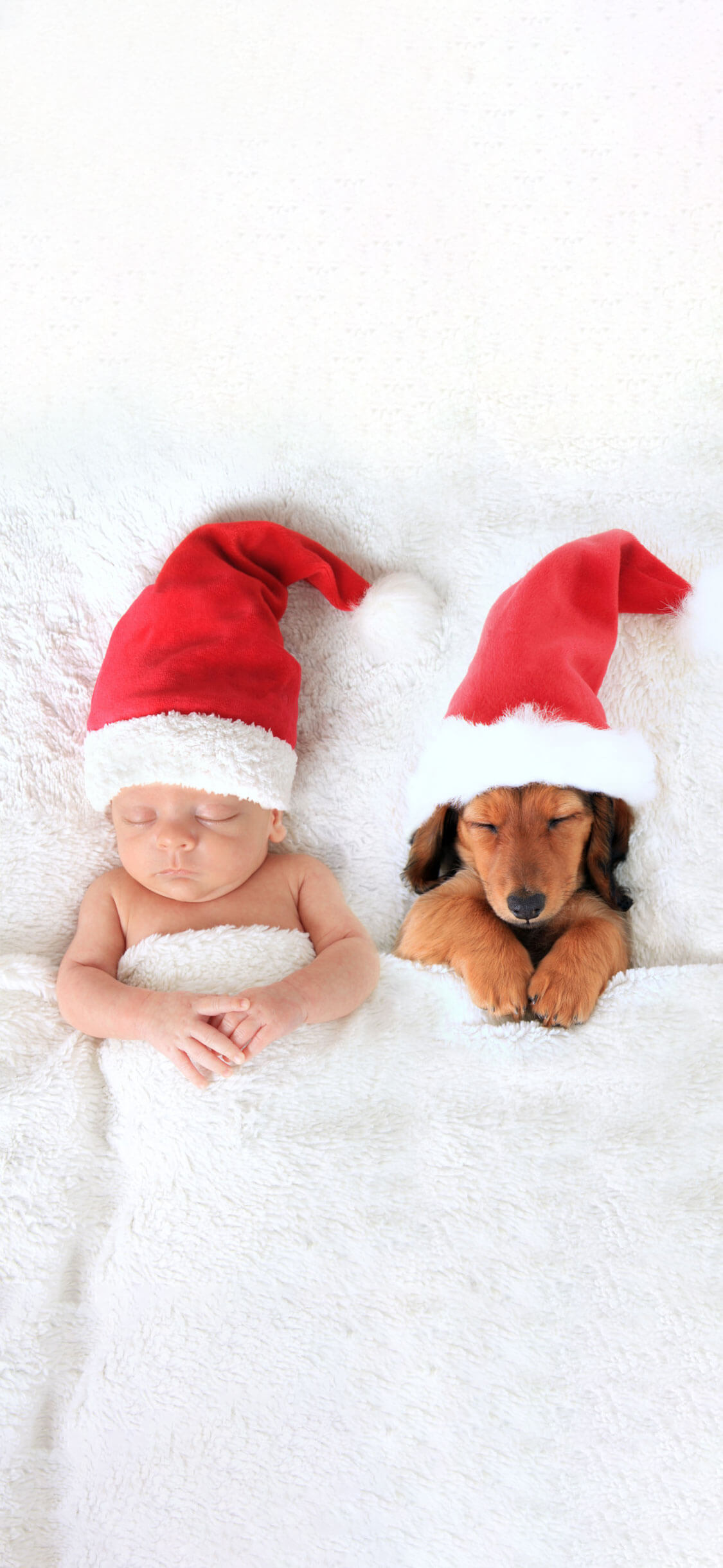 Bebê branco e cachorro