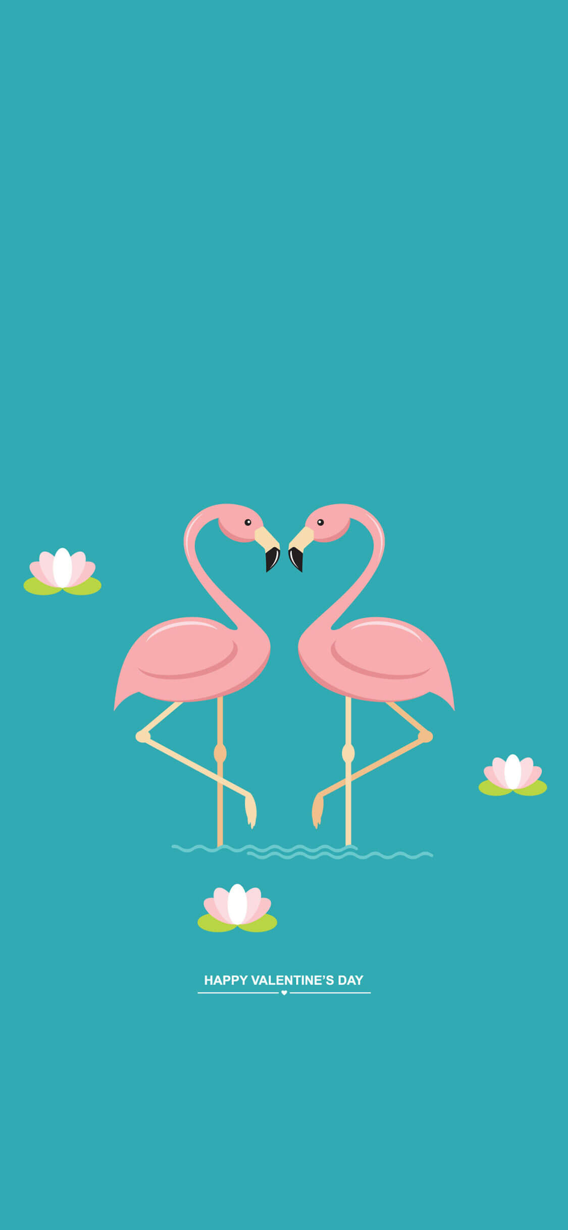 flamingo