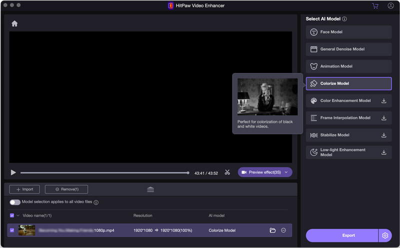 Modelo de coloração do Hitpaw Video Enhancer
