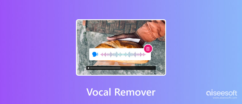 Removedor Vocal