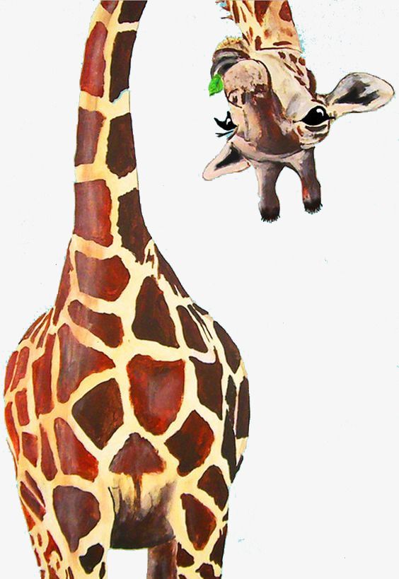Papel de parede de girafa