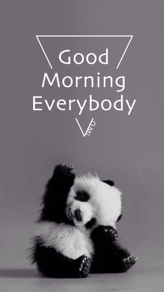 bom dia panda