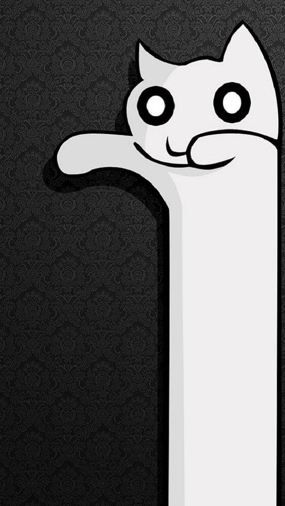 gato comprido