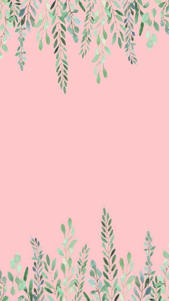 Planta-de-rosa