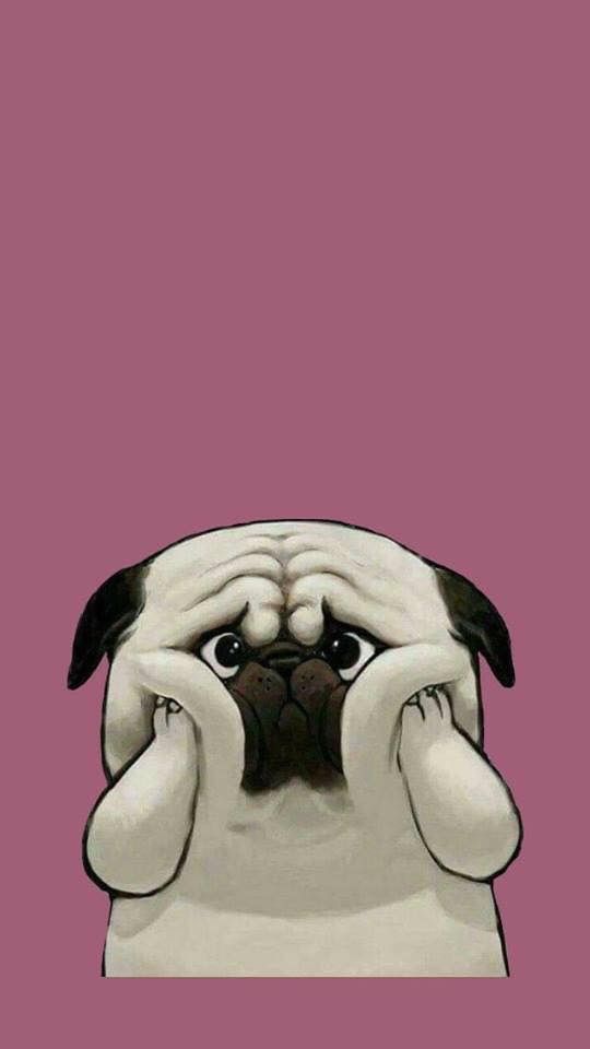 pug rosa