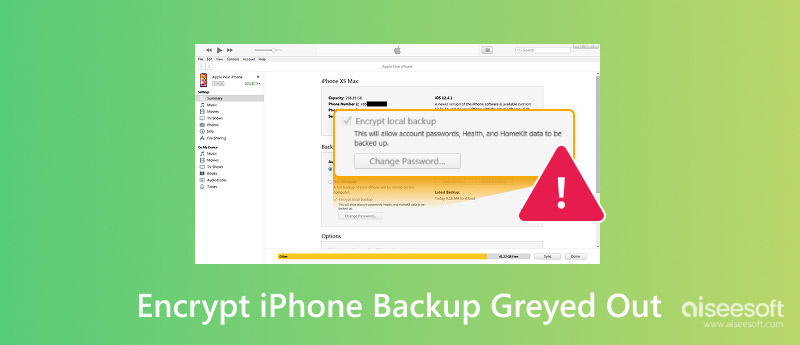 Criptografar backup do iPhone está indisponível