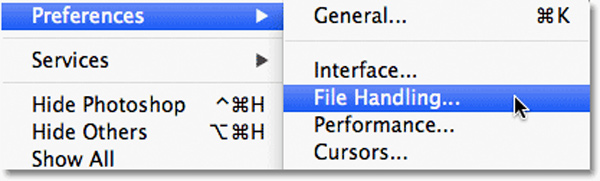 Preferences File Handling