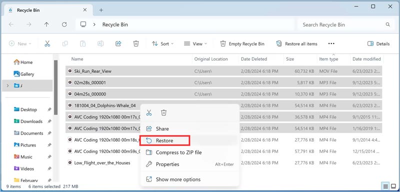 Encontre vídeos excluídos na Lixeira do Windows