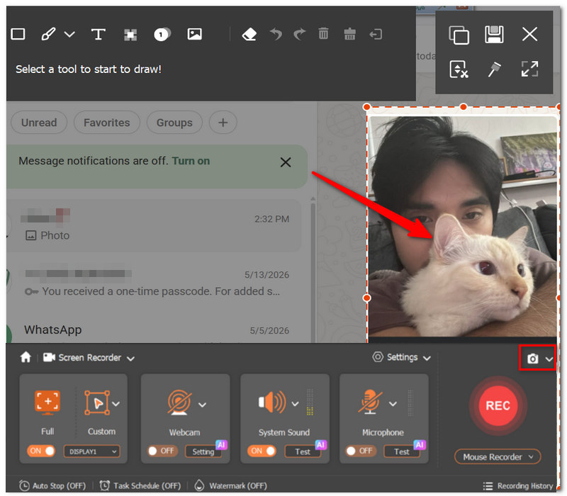 Hit Snapshot Button