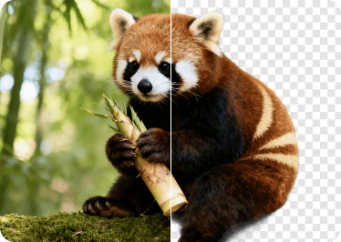 Removedor de fundo gratuito